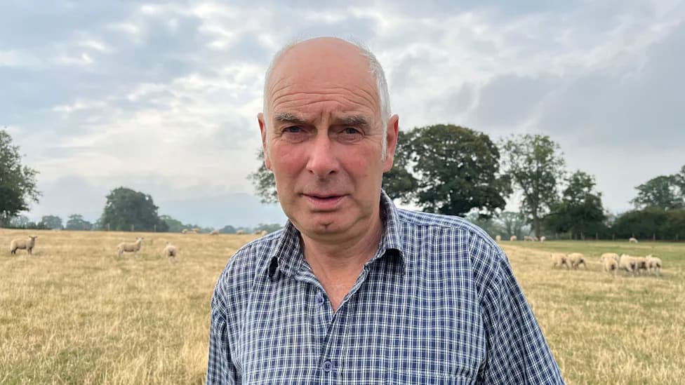 Bluetongue Surge Prompts Rush To Vaccinate — Farmers Fear Repeat Of 2001 Crisis