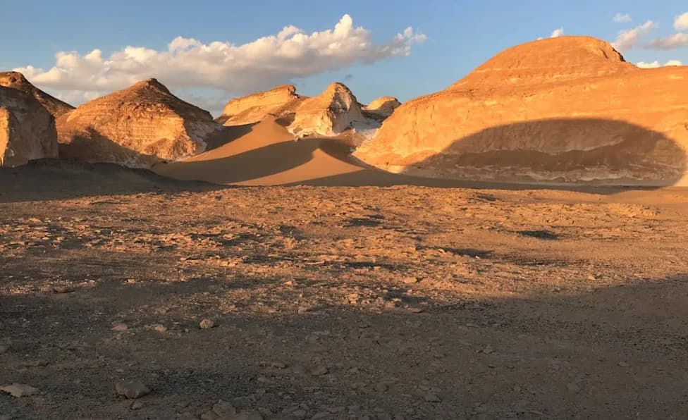 Ancient Shark 'Graveyard' Discovered Beneath Egypt's Desert — 70-Million-Year-Old Marine Ecosystem Revealed