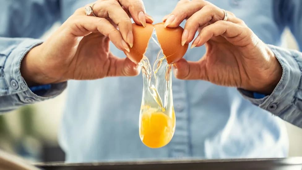 UK Salmonella Outbreak Nears 500 Cases — Imported Eggs Linked as Investigations Continue