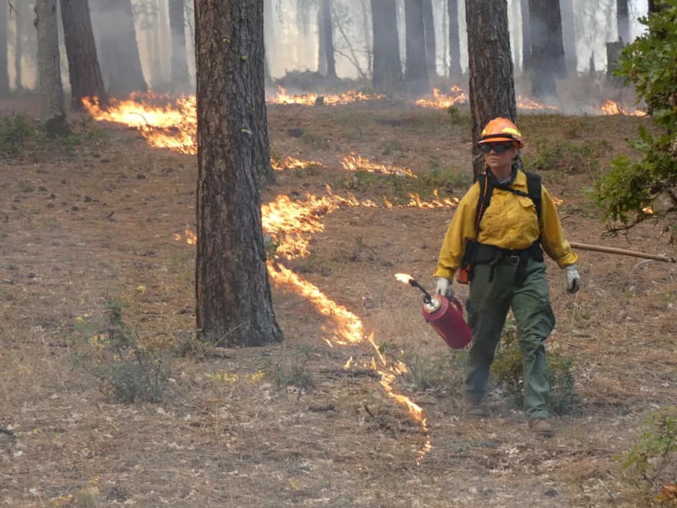 Learning to Use Fire: Washington Trains Residents to Lead Prescribed Burns