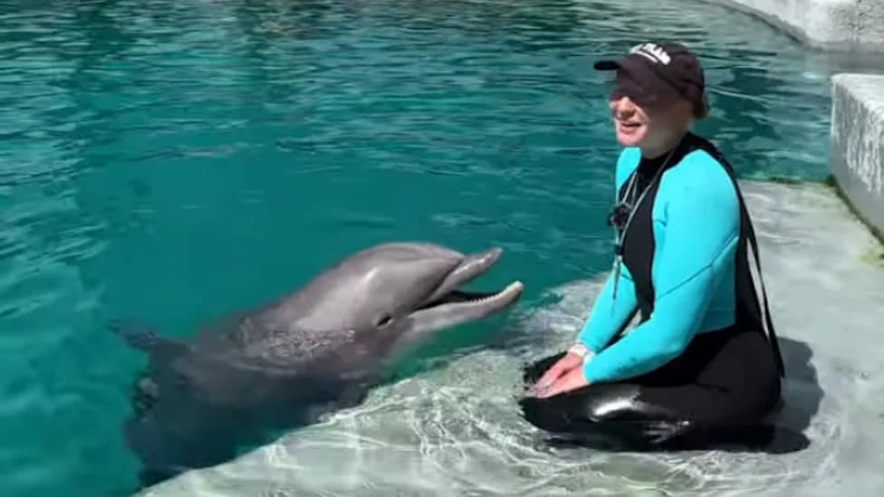 Death of Longtime Six Flags Dolphin Spurs PETA Call to Move Remaining Animals