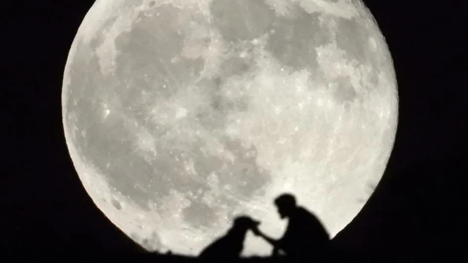 How to See This Week’s Near-Total Partial Lunar Eclipse — The Full “Sturgeon” Moon