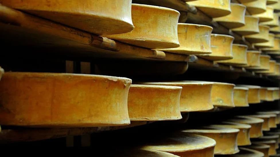 France Temporarily Eases Protected-Cheese Rules After Severe Drought