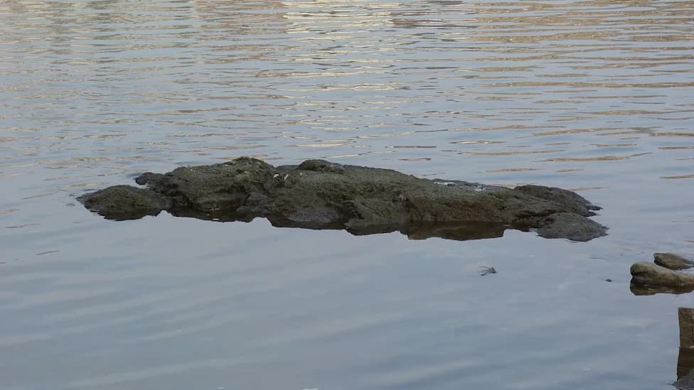 Budapest's 'Rock of Starvation' Reappears as Danube Plummets — A Stark Sign of Central Europe's Historic Drought