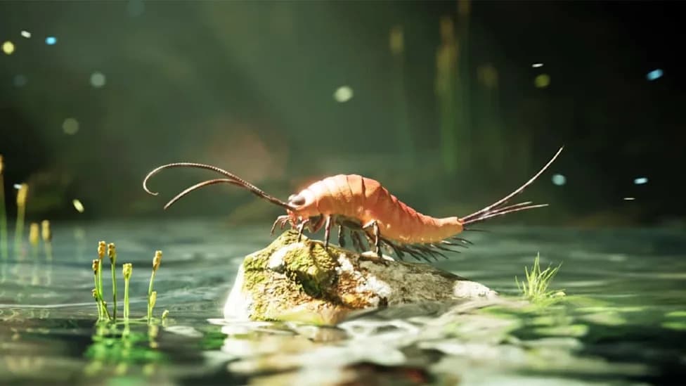 324-Million-Year-Old Fossil Reclassified as 24-Legged Insect, Upending a Longstanding Mistake