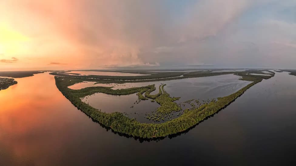 Microplastics Found in 8 of 10 Fish in Remote Amazon Park — A Wake-Up Call for the Basin