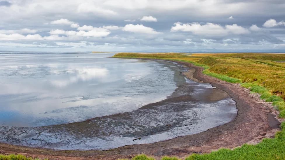 Federal Judge Voids Land Swap, Throws Izembek Road Plan Into Legal Limbo
