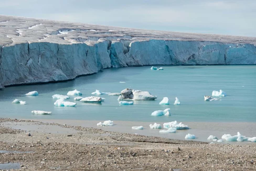 Silent Threat Beneath the Ice: How Coastal Freshening Harms Antarctic Sea Life