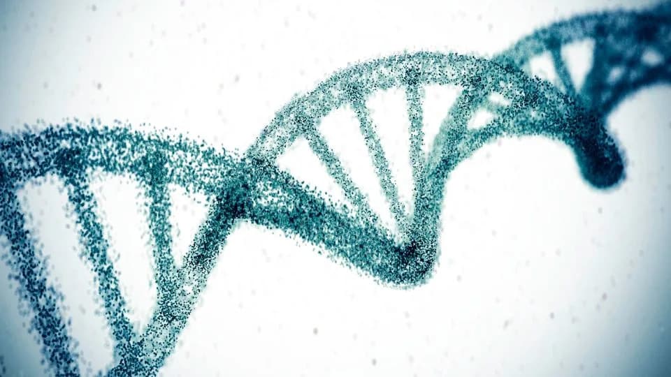 One-Time CRISPR 'Snip' Cuts Dangerous Cholesterol ~50% For A Year, Early Study Shows