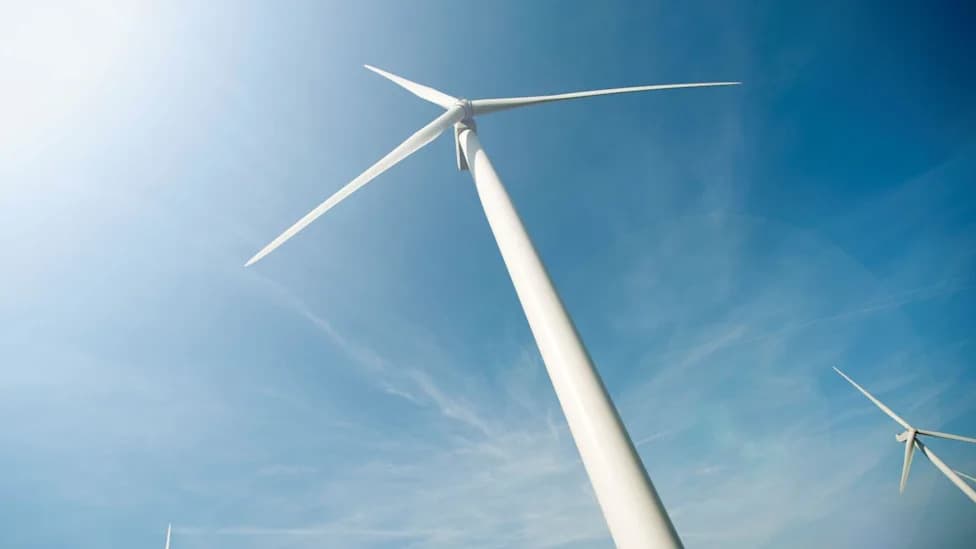 12-Turbine Forsinain Wind Farm Proposal Submitted Near Flow Country World Heritage Site