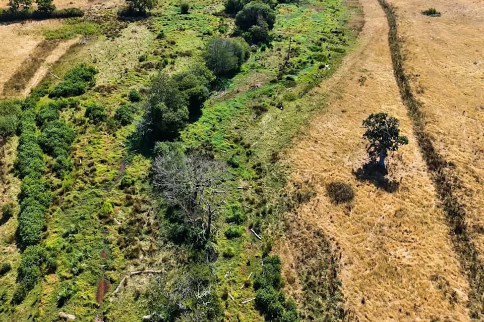 Aerial Images From Somerset Show Restored Wetlands Withstanding Heat, Drought and Fire Risk