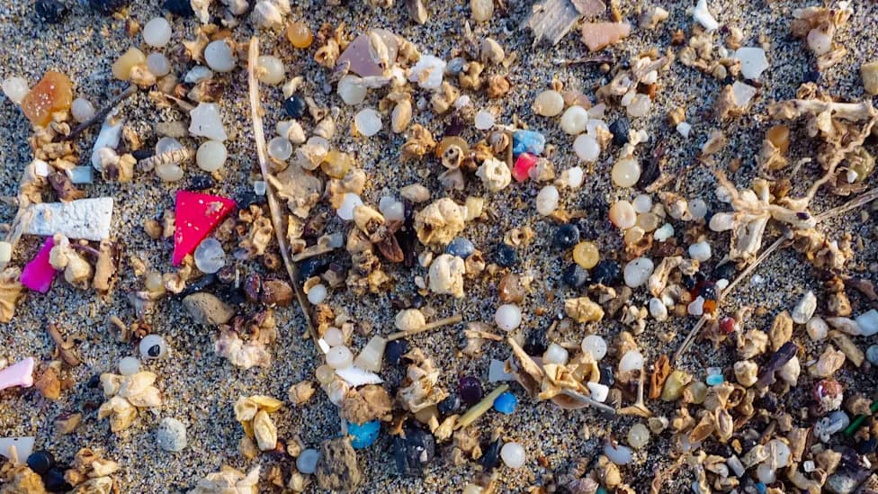 Over 1 Billion Nurdles From Port of Tyne Spill Wash Up As Far As Amble — Environmental Concerns Mount