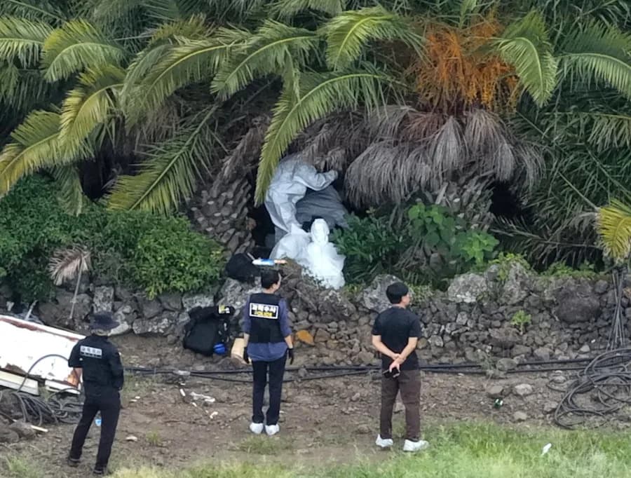 Nearly 300 Missing-Person Files Reviewed After Four Bodies Found on Jeju Island; Sergeant Arrested
