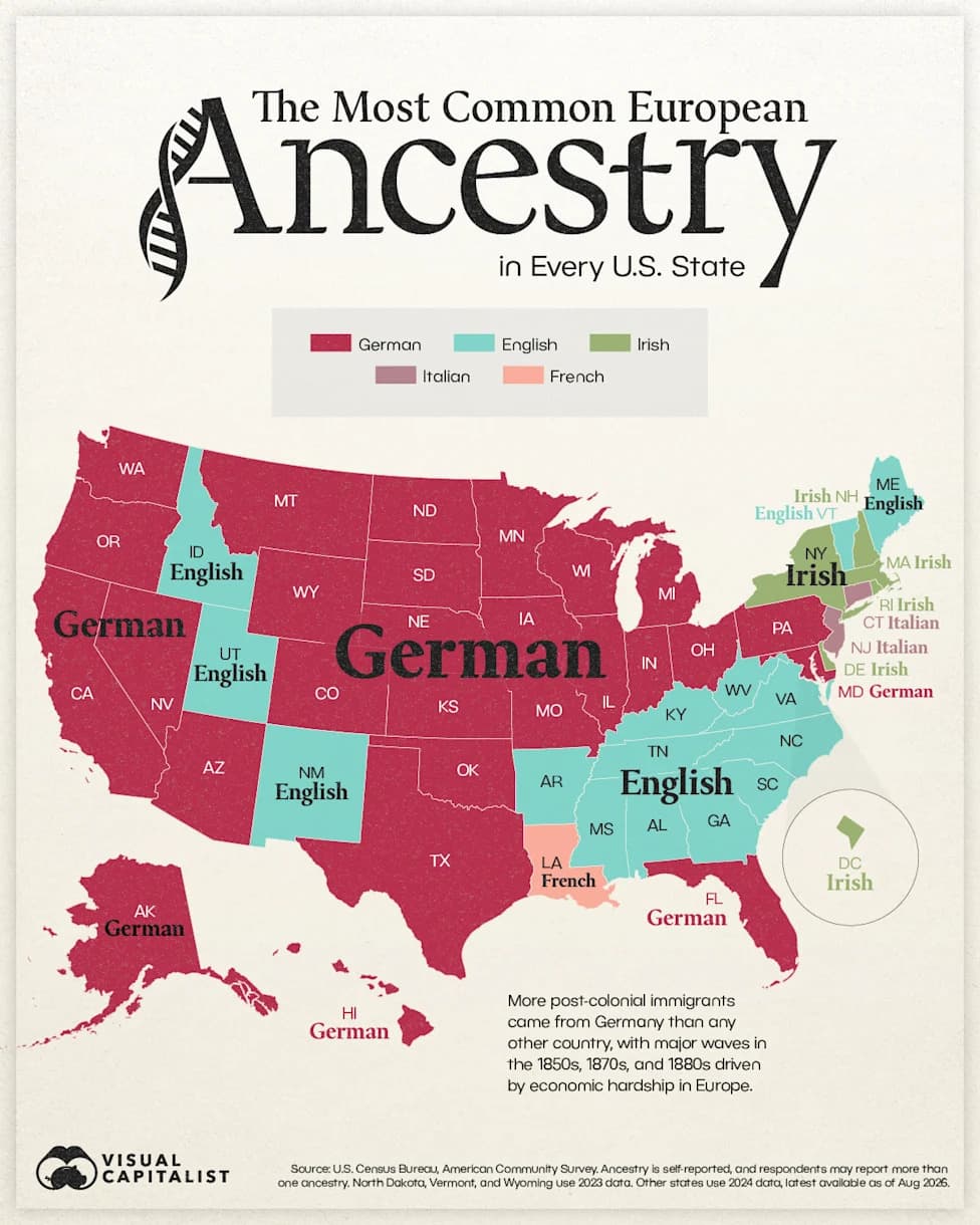 Which European Ancestry Is Most Common In Each U.S. State? — German Leads In 27 States