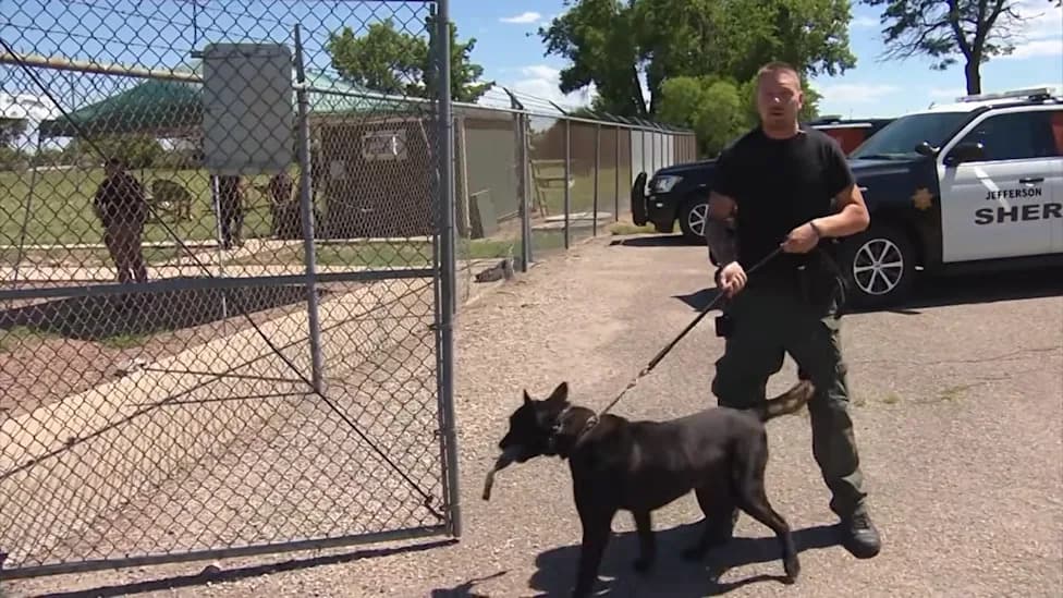K-9 Attack at Toddler's Birthday Left Family With Nearly $300K in Medical Bills After Sheriff's Office Promise