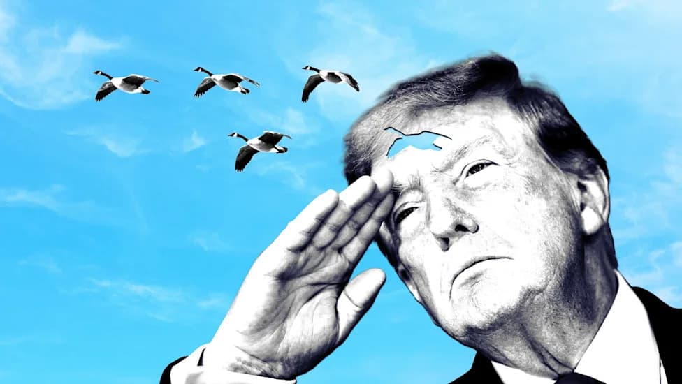 Trump Posts AI 'Trumpified' Geese Video — Shore Marked "Lake America" Draws Criticism