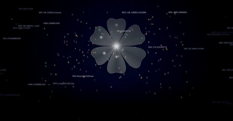 Malva: A 'Google-Like' Search Engine That Finds Hidden RNA Clues Across Millions Of Cells In Seconds