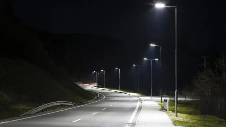 How Streetlights May Be Luring Woodlice Into a Dangerous Circling Trap