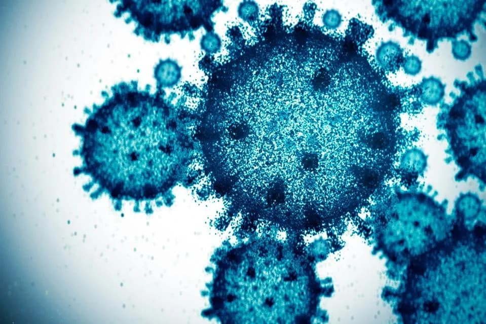 AI-Guided, Engineered Phages: A New Weapon Against Antibiotic-Resistant Superbugs