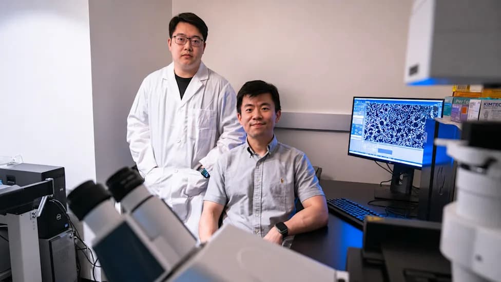 Engineered tRNAs With a Single Chemical Boost Restore Full-Length Proteins and Bypass Premature Stop Mutations