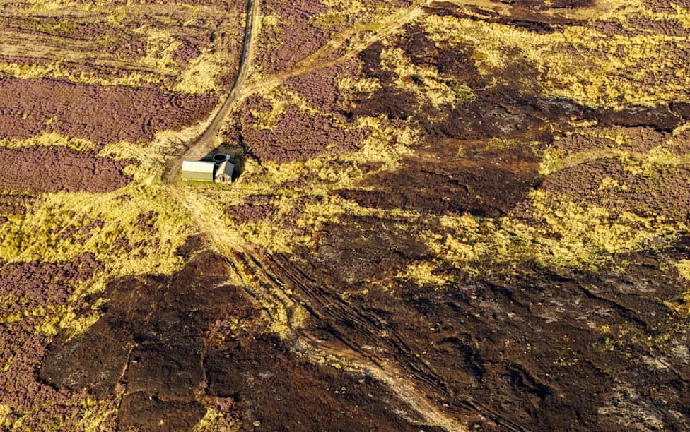 Rural Landowners Urge Government To Reinstate Controlled Burning After Devastating Wildfires