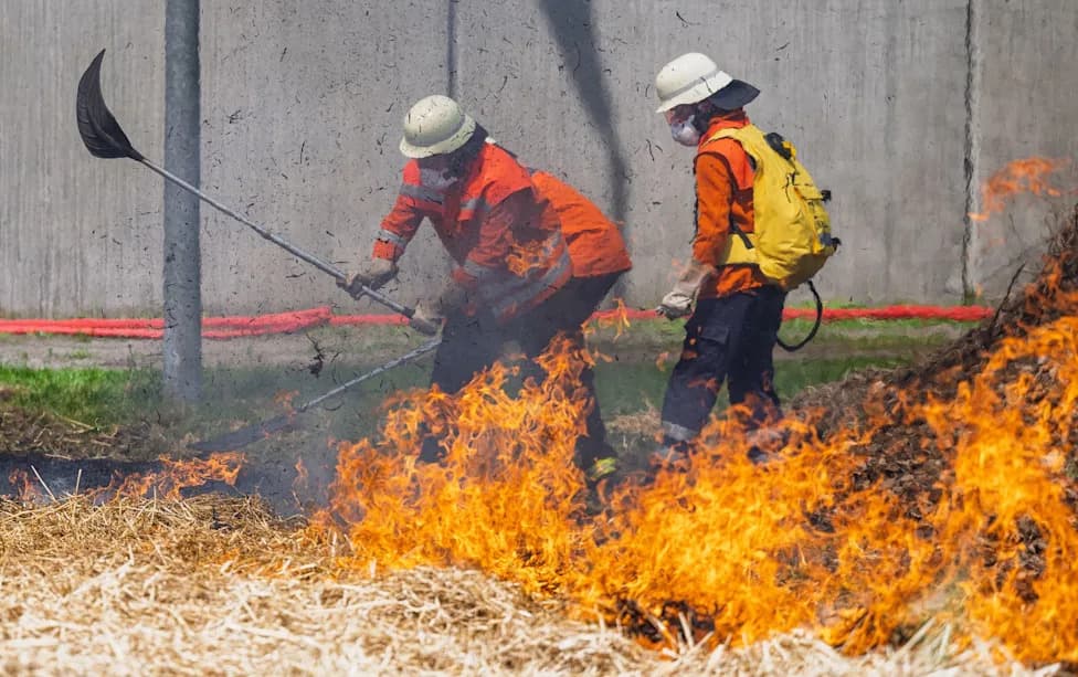Judge Michael Herrmann Trains Young Inmates To Fight Wildfires — Rehabilitation Through Teamwork