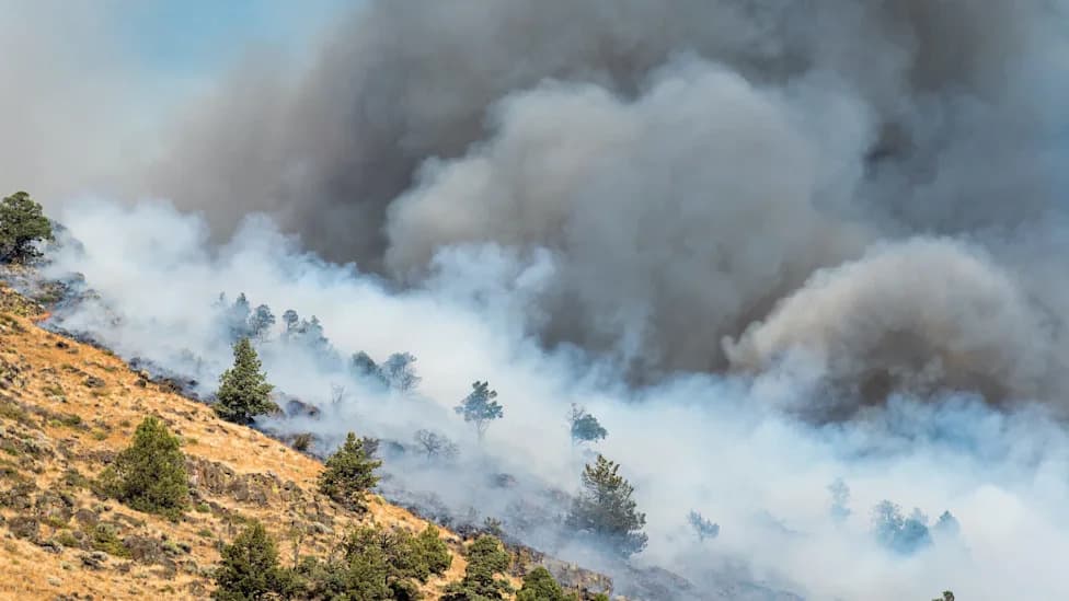 Tied for Worst in U.S., Oregon’s Josephine County Faces a Seasonal Wildfire-Smoke Health Crisis