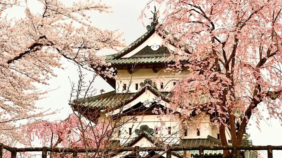 1,800 Volunteers Hand-Pull a 400‑Ton Hirosaki Castle Keep Over Seven Feet in Two Days