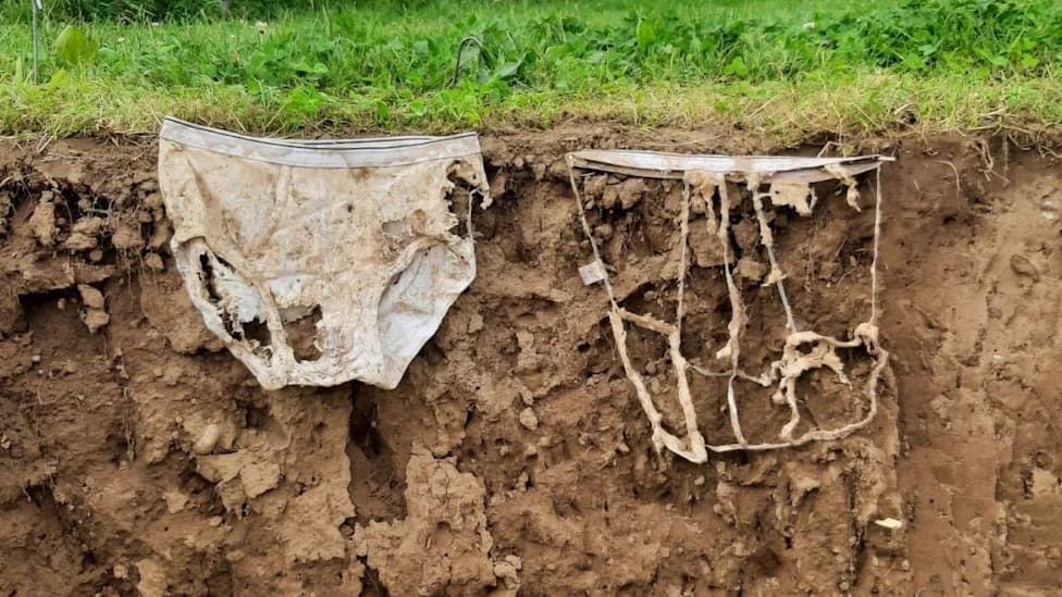 They Buried 2,000 Pairs of Cotton Underwear to Test Soil Health — The "Underpants Index" Explained
