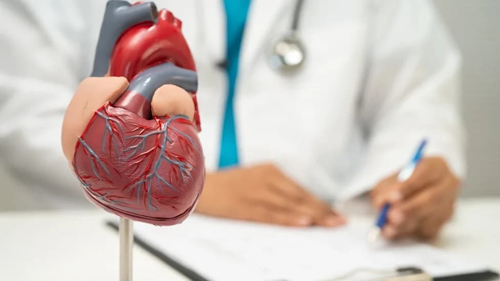 enVast Meets Primary Endpoint in NATURE Trial — ~26% Reduction in Infarct Size and Favorable 30‑Day Safety