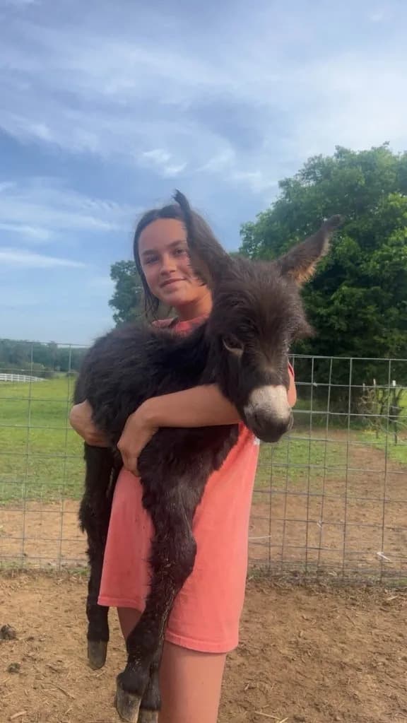 Officer Placed on Leave After Baby Donkey 'HeeHaw' Shot During Georgia Search
