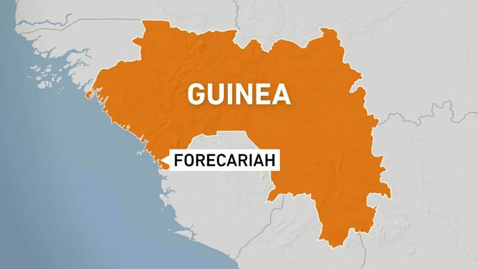 African NGOs Demand Independent Probe After Six Bound, Blindfolded Bodies Found in Guinea Mass Grave
