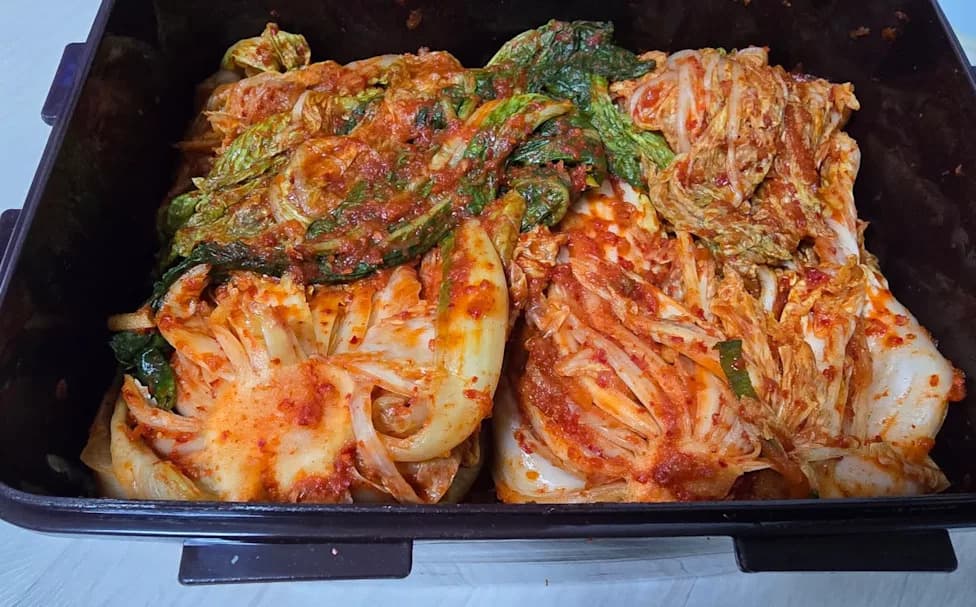 From Kimchi Waste to Bioplastic: South Korean Researchers Convert 18,700 Tons of Radish Residue