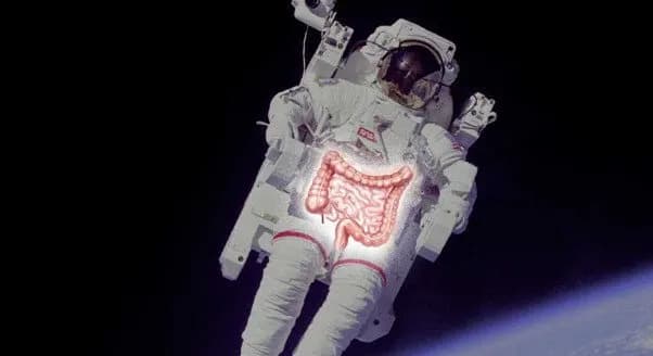 New Study Links Microgravity to Astronaut Constipation — And Offers Simple Fixes