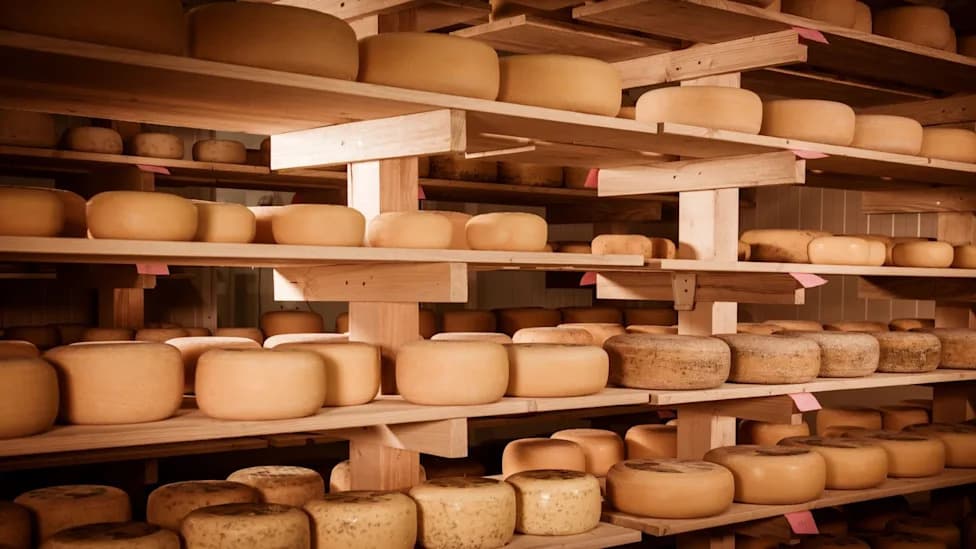 France Temporarily Loosens Protected-Cheese Rules After 'Historic' Drought Threatens Mountain Herds