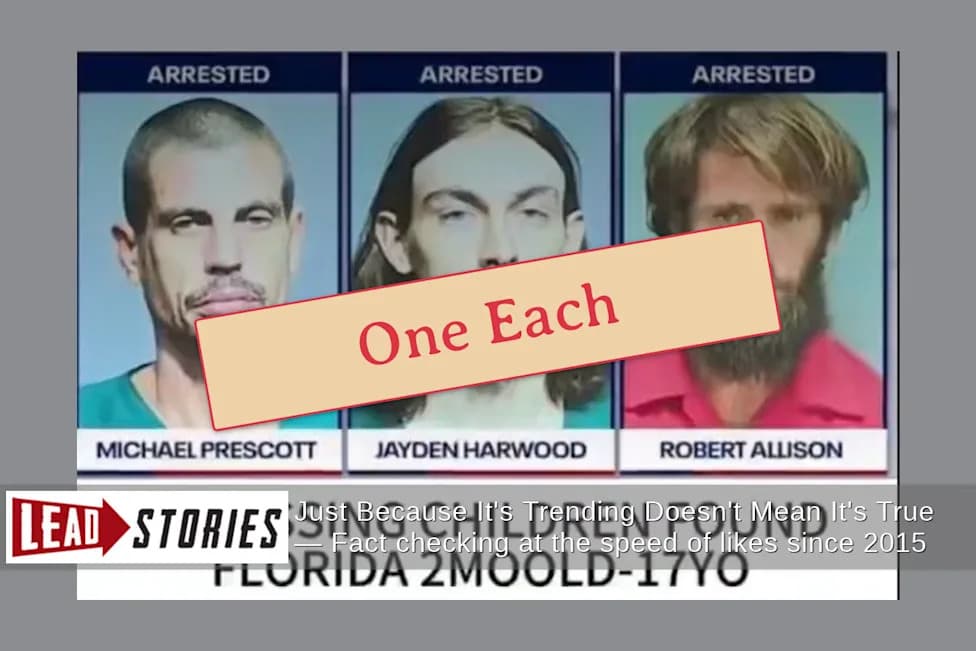 Fact Check: Three Arrests Did Not Mean 163 Children Were Kidnapped — Charges Tied To Individual Victims