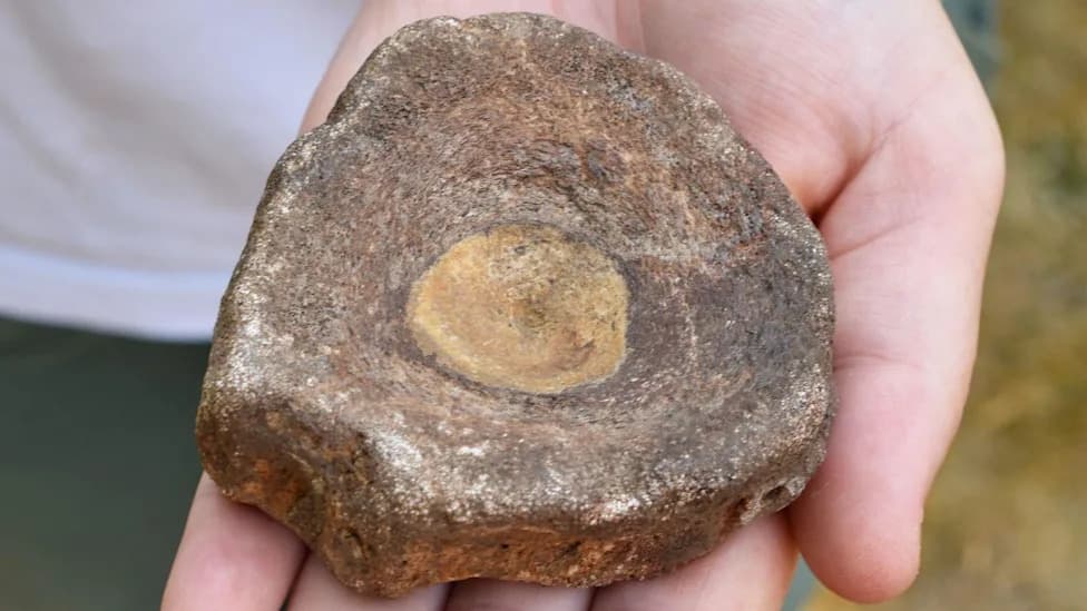 100-Million-Year-Old Ichthyosaur Found in Roman Pit — Earliest Known Fossil Collecting in Britain