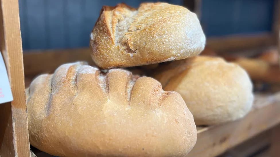 Why the UK Will Add Folic Acid to Non-Wholemeal Flour — What It Means for Bread, Health and Bakers