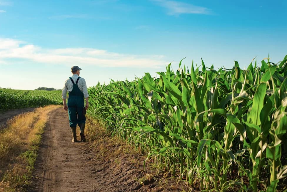 Extreme Heat Is Making Pesticides More Dangerous For U.S. Farmworkers, Report Warns