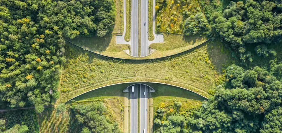 Wallis Annenberg Wildlife Crossing To Open Dec. 2, 2026 — A Lifeline for Mountain Lions and Other Wildlife