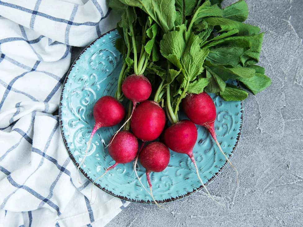 Everything Sprouts Expands Recall to Include Radish Sprout Mix Over Salmonella and E. coli Concerns