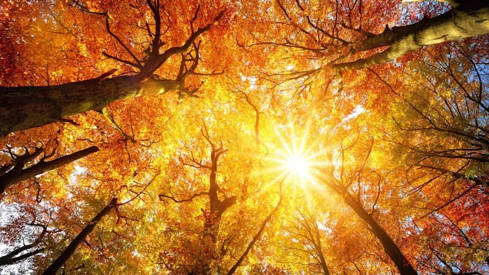 Every County Is Warming: How Much Hotter Fall Has Become Across the Contiguous U.S.