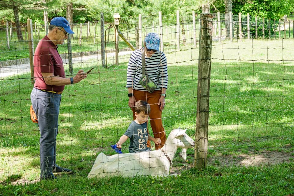 Rabies Confirmed in Four Baby Goats From Traveling Petting Zoo — Visitors Urged to Seek Immediate Evaluation