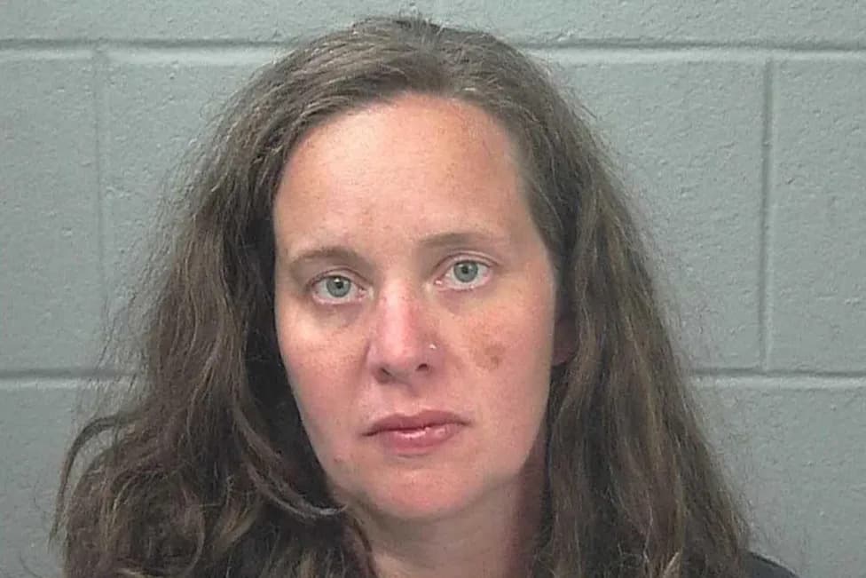 Maine Mother Pleads Guilty After 3-Year-Old and Family Dog Found Dead in Hot Car