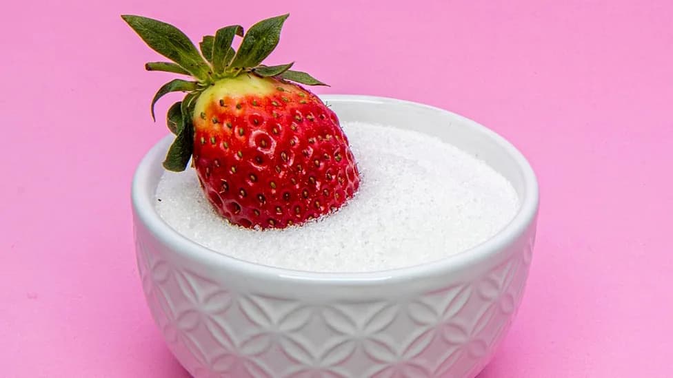 Not Just Calories: How Fructose in the Gut May Prime the Body To Absorb More Fat