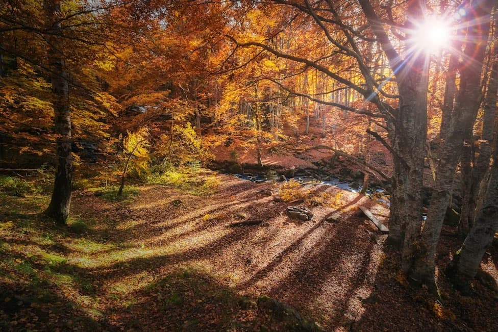 10 U.S. Cities Where Autumn Is Becoming More Like Summer