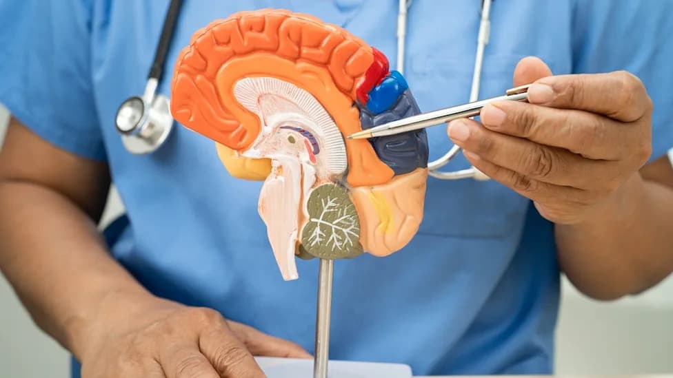 Health Canada Clears Fujirebio’s Lumipulse Blood Assays For Neurology Care In Canada