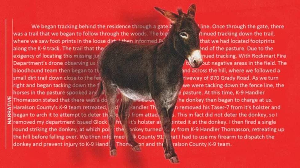 Georgia Officer Says He Shot Petting-Zoo Donkey After It Allegedly Charged Search Team