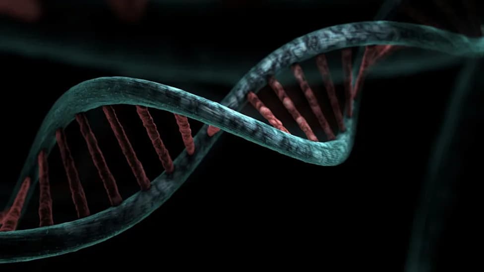 Scientists Map a Hidden RNA Layer — The Human Nuclear “Ribome” That Shapes DNA Coiling