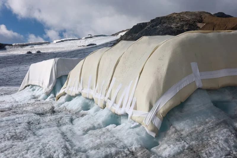 Sheep's Wool vs. Plastic Tarps: Swiss Scientists Test Biodegradable Blankets To Slow Glacier Melt